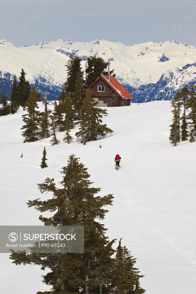 A skier ascends the trail to Mt. Steele cabin in Tetrahedron Provincial Park on the Sunshine Coast of British Columbia Canada. No Model Release