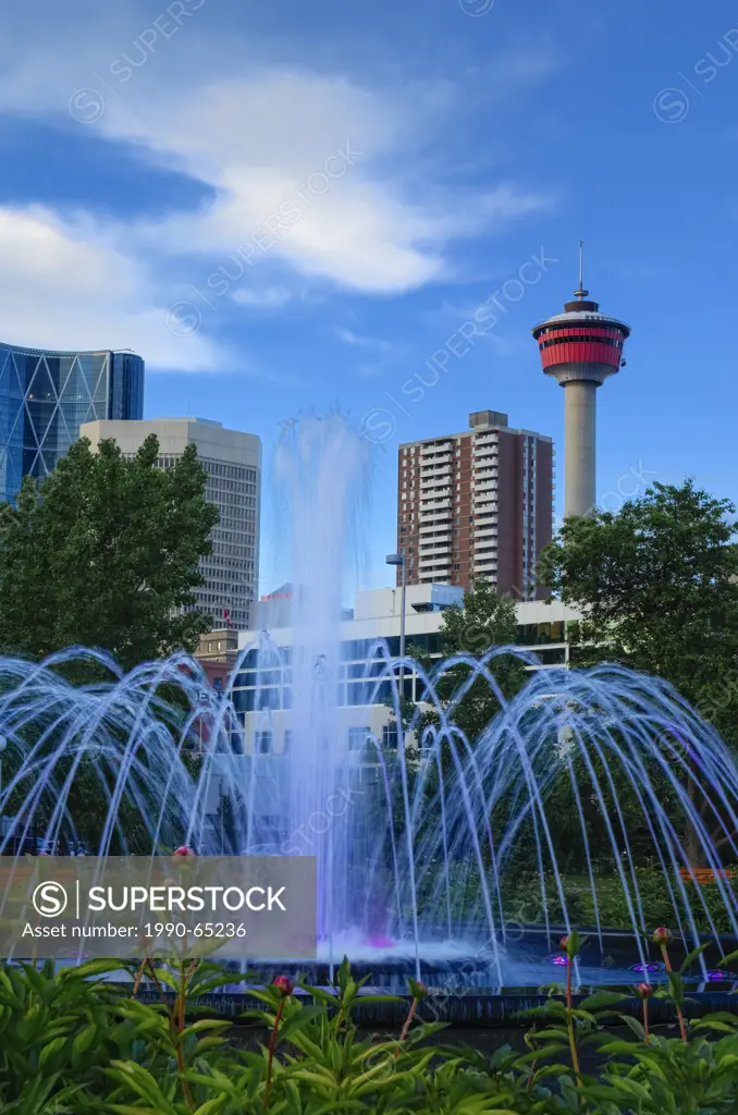 Illuminated fountain with the Calgary Tower in the distance, Central Memorial Park, Calgary´s oldest park Calgary, Alberta, Canada