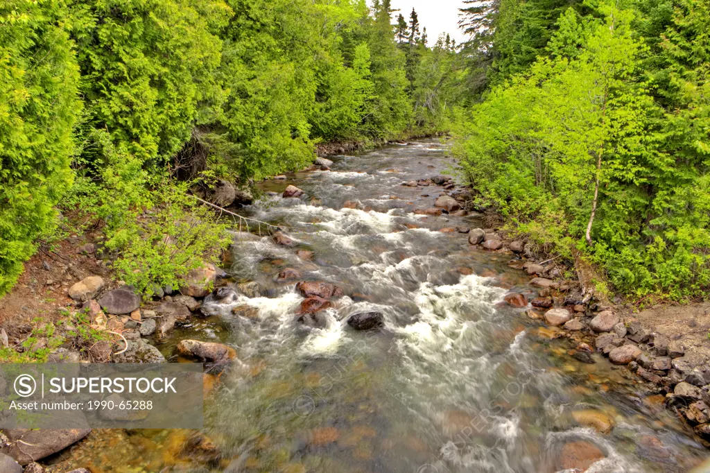 Mountain Creek, Parc de La Gaspesie, Gaspe, Quebec, Canada