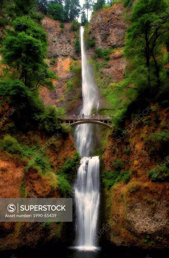 Multnomah Falls, located in the Columbia River Gorge is at 620 feet 189 meters the tallest is a waterfall in the State of Oregon, USA.