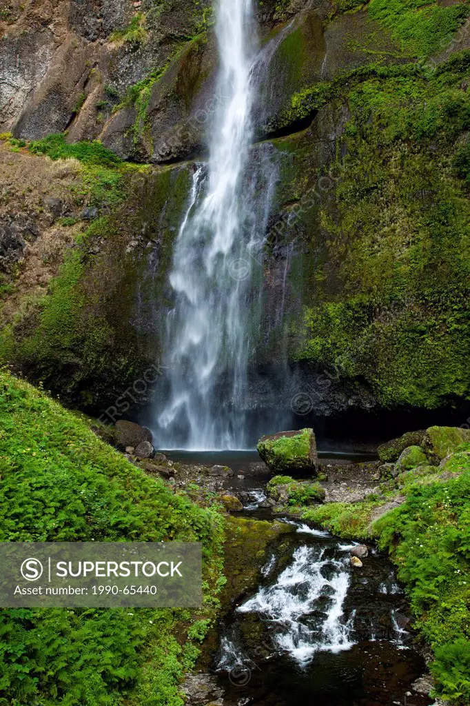 The upper” Multnomah Falls, located in the Columbia River Gorge is at 620 feet 189 meters the tallest is a waterfall in the State of Oregon, USA.