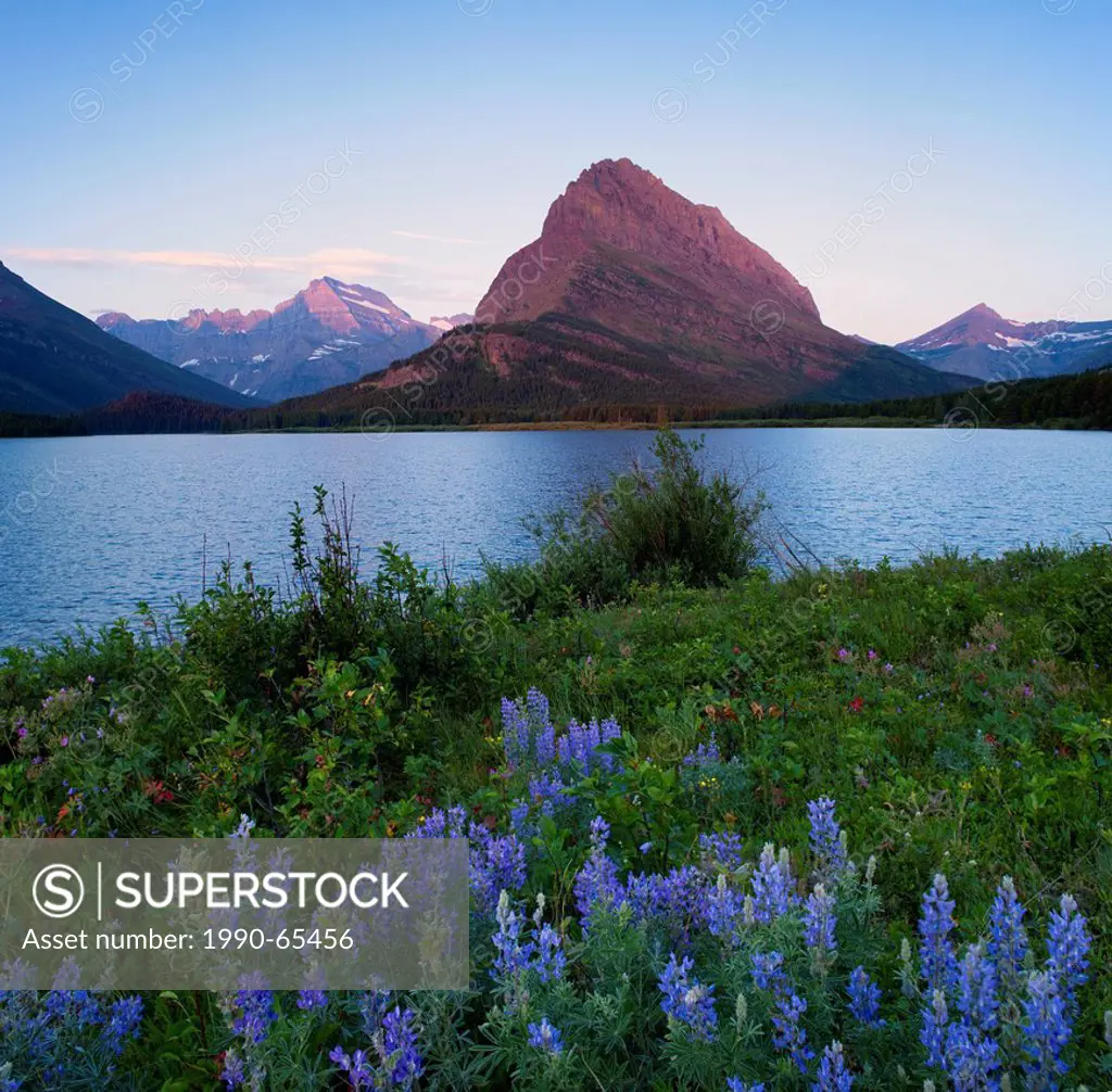 Sunrise Over Grinnell Point and Swiftcurrent Lake, Glacier National Park, Montana, USA.