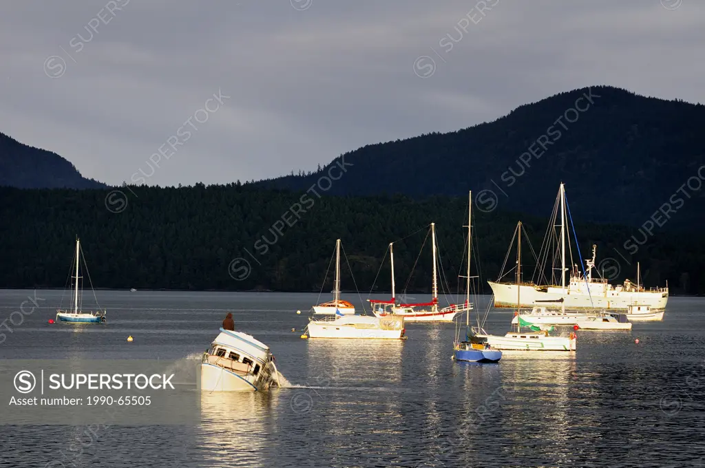 A boat owner waits anxiously on his sinking boat as he pumps water out of its hold in Cowichan Bay, BC.