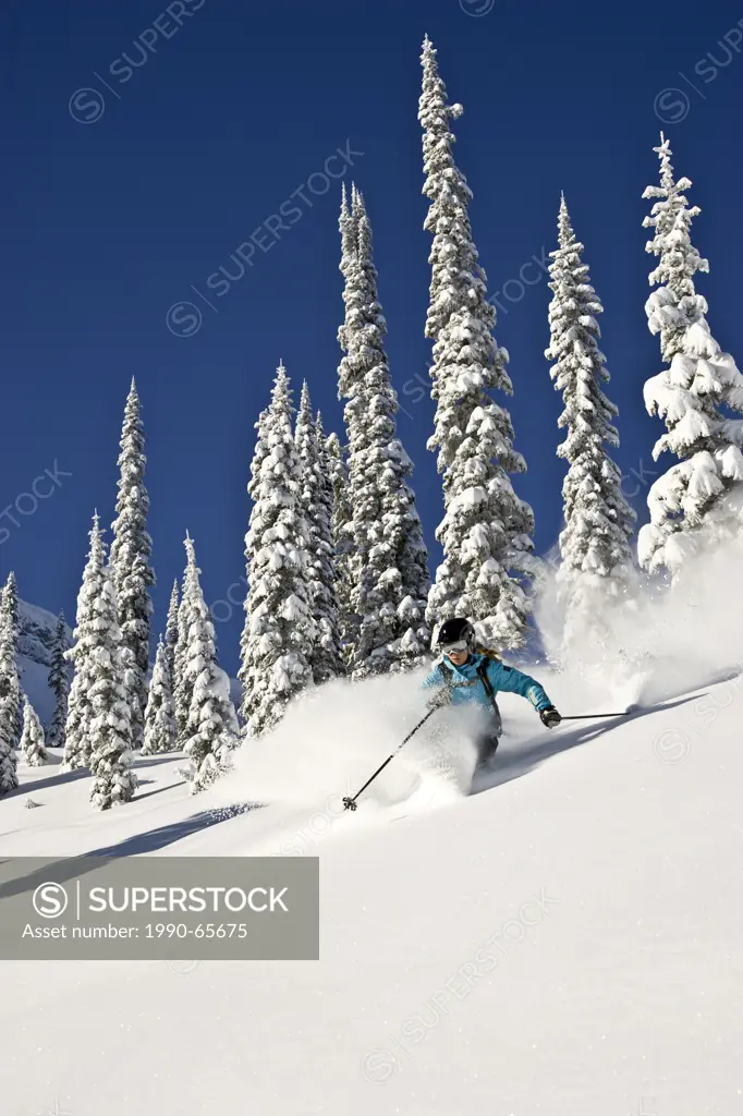 Young woman, skiing deep powder at Fernie Alpine Resort, Fernie, BC, Canada.