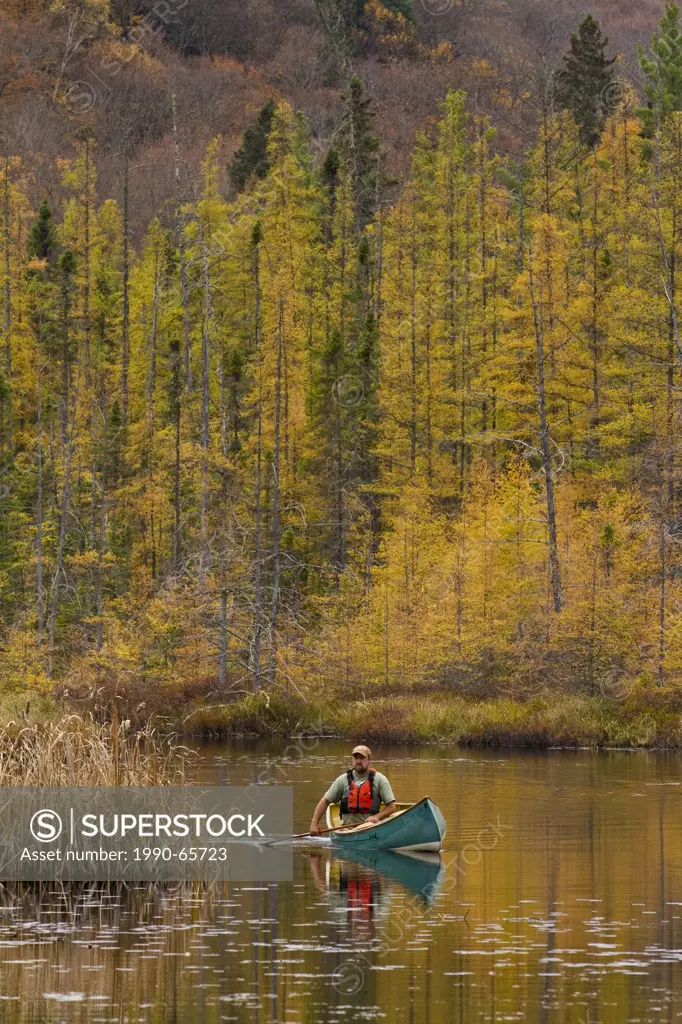 Man paddles canoe on still water of small creek in northwestern end of Algonquin Park, Ontario, Canada.