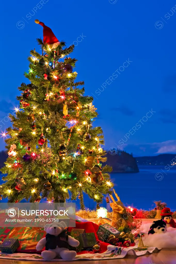 Christmas Tree with lights, decorations, and gifts in a window at dusk, The Artists Point, Hyde Creek, Port McNeill, Northern Vancouver Island, Vancou...