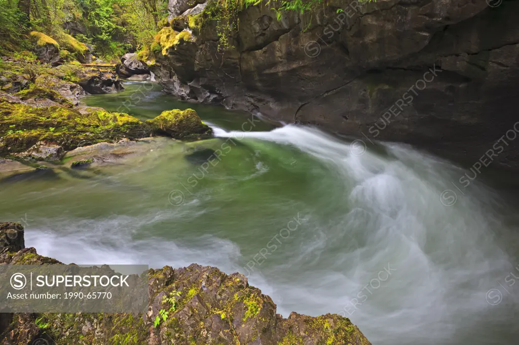 Long exposure of Atluck Creek winding through the limestone and rainforest in Little Huson Cave Regional Park on Northern Vancouver Island, British Co...