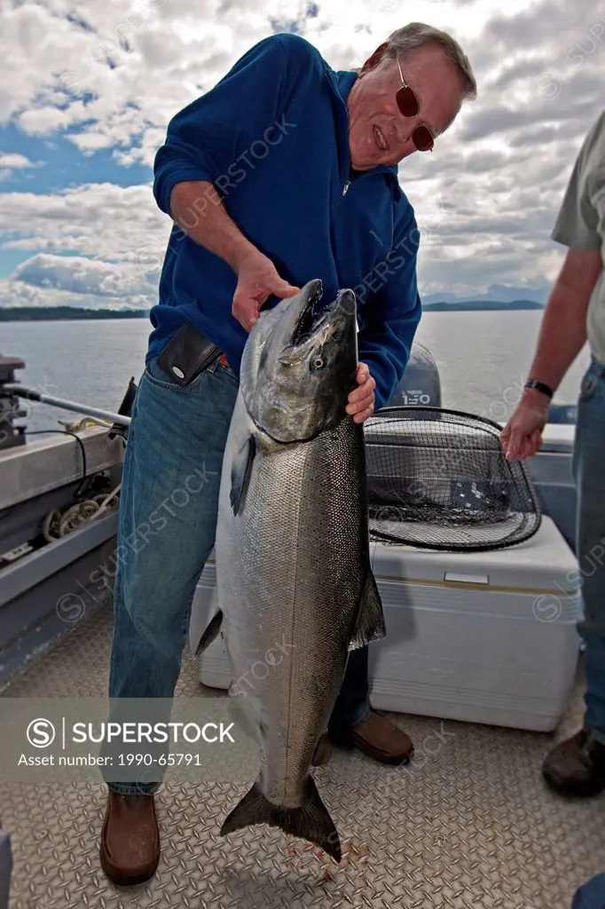 Senior retired man holding proud a huge spring salmon which he just caught on a small fishing boat off Northern Vancouver Island in British Columbia, ...