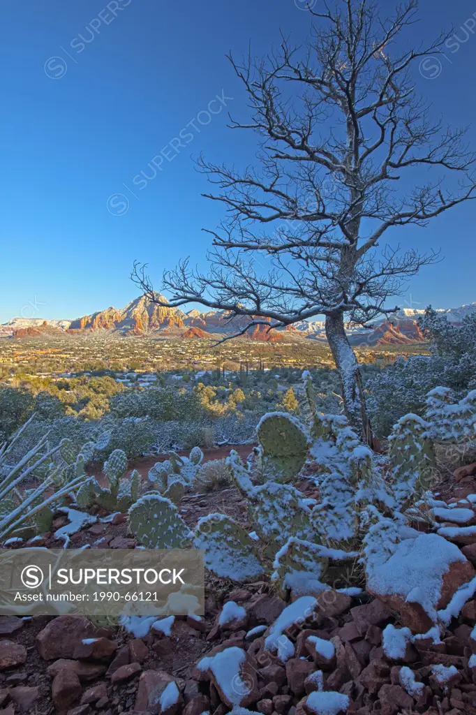 Sedona after fresh snow, Arizona, USA