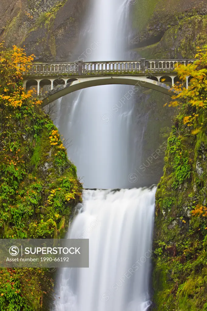 Tourist attraction Multnomah Falls, a 611_foot_tall roaring, awe_inspiring cascading waterfall in late fall with Benson Bridge, about 30 minutes east ...