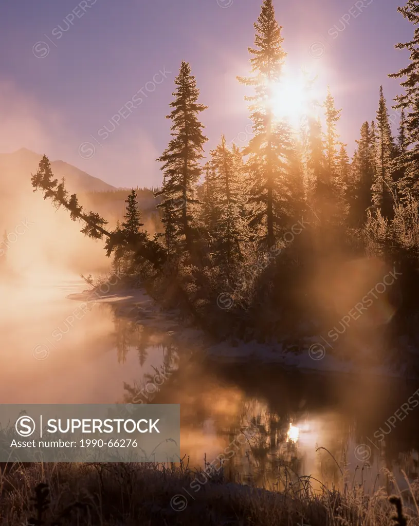 This backlit nature scenic was captured one frosty morning in Jasper National Park in Alberta Canada
