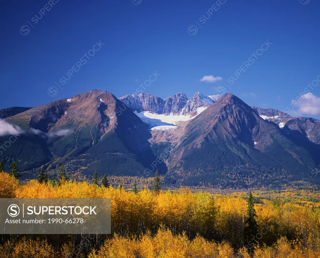 This autunm mountain landscape of Hudson Bay mountain was captured one beautiful fall morning near the town of Smithers in the Bulkley valley of north...