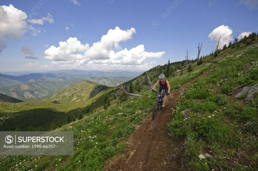 Mountain biking along the Seven Summits trail in Rossland. Kootenay Rockies region, British Columbia, Canada