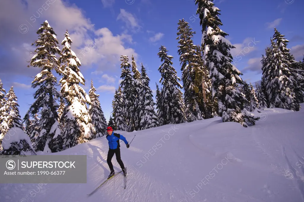 Nordic skate skiing at Cypress Mountain ski area, Hollyburn Mountain. Cypress Bowl, West Vancouver. British Columbia, Canada