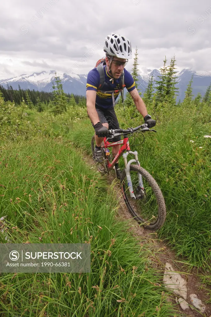 Mountain biking in Keystone_Standard Basin. Revelstoke. Kootenay Rockies region, British Columbia, Canada