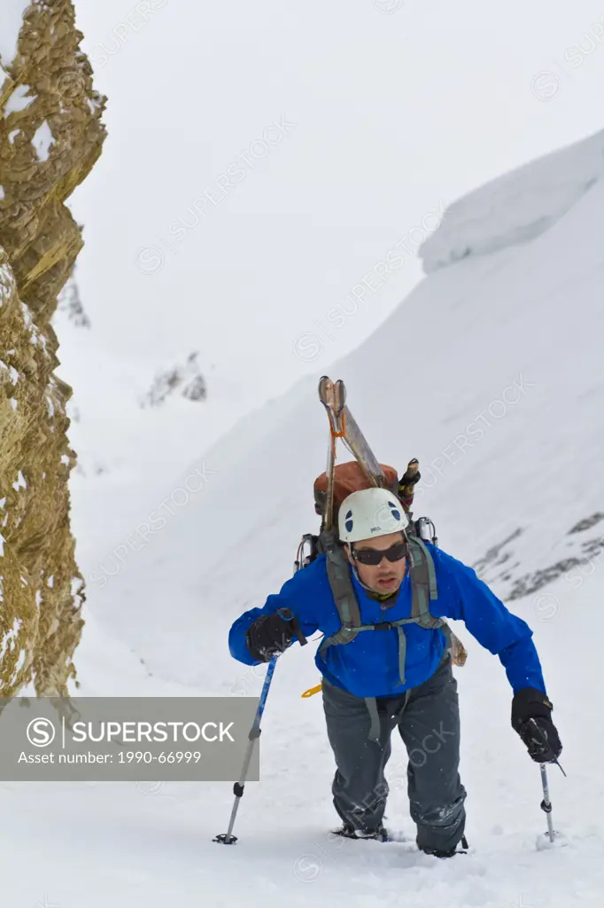 A male backcountry skier bootpacks up a steep couloir on Mt. Chester, Kananaskis, AB