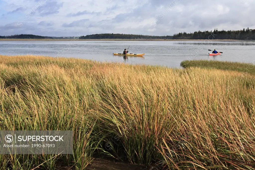 Sea kayakers in Nova Scotia paddle through Chezzetcook Inlet. Accomplished Nova Scotian author, professor, and surfer Lesley Choyce left spends a day ...