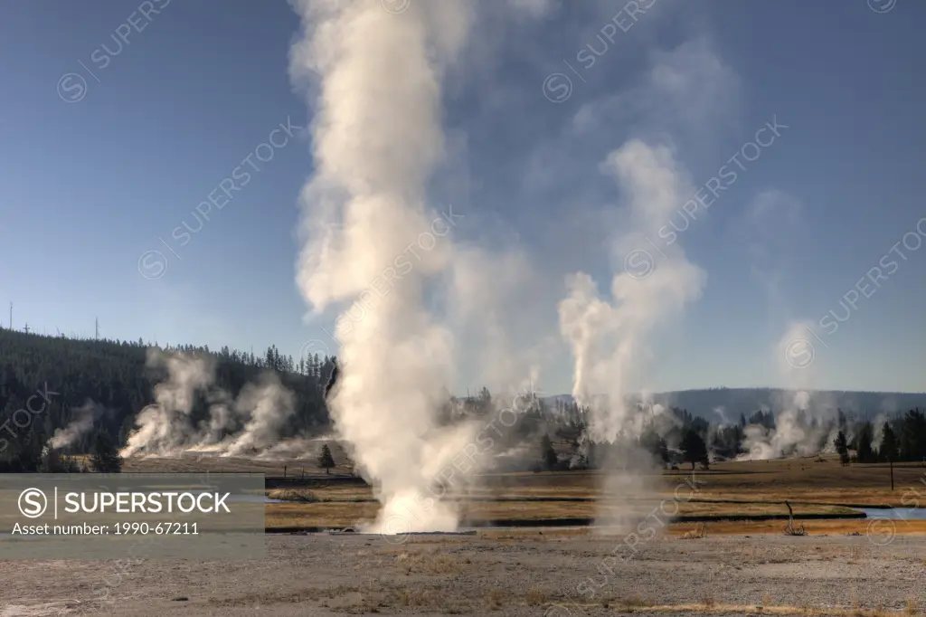 View of Biscuit Geyser Basin, Yellowstone National Park, Wyoming, USA