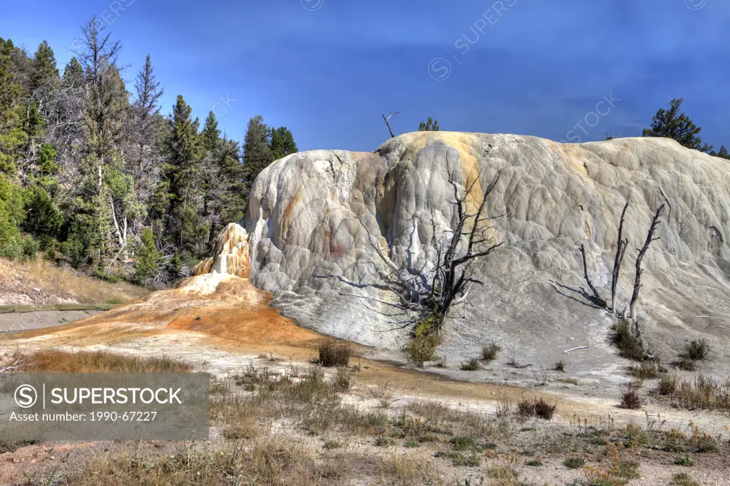 Orange Spring Mound, Mammoth Hotsprings, Yellowstone National Park, Wyoming, USA