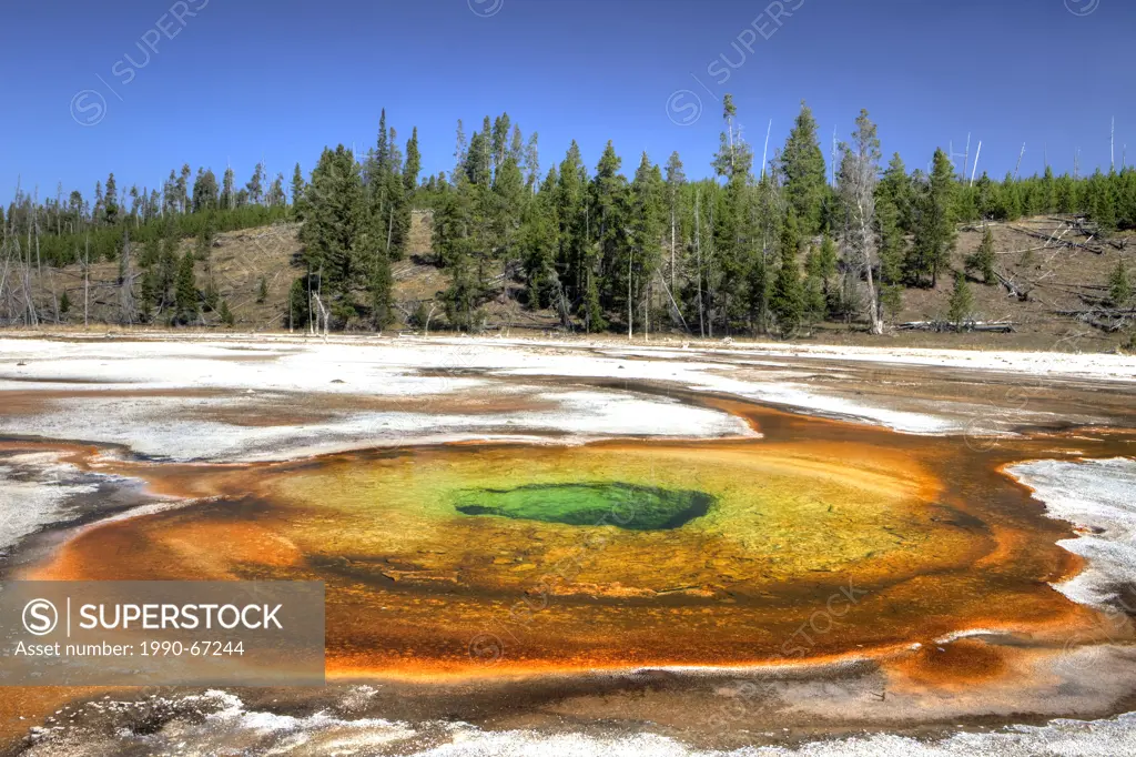 Chromatic Pool, Upper Geyser Basin, Yellowstone National Park, Wyoming, USA