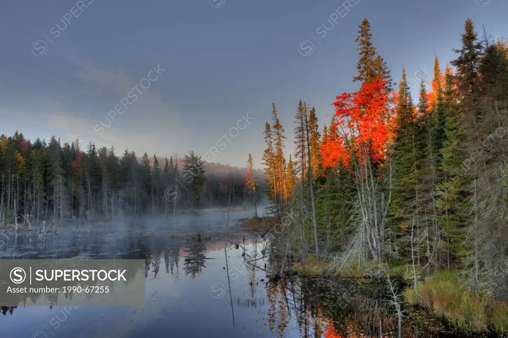 Early Morning, Autumn Colours in Algonquin Provincial Park, Ontario, Canada