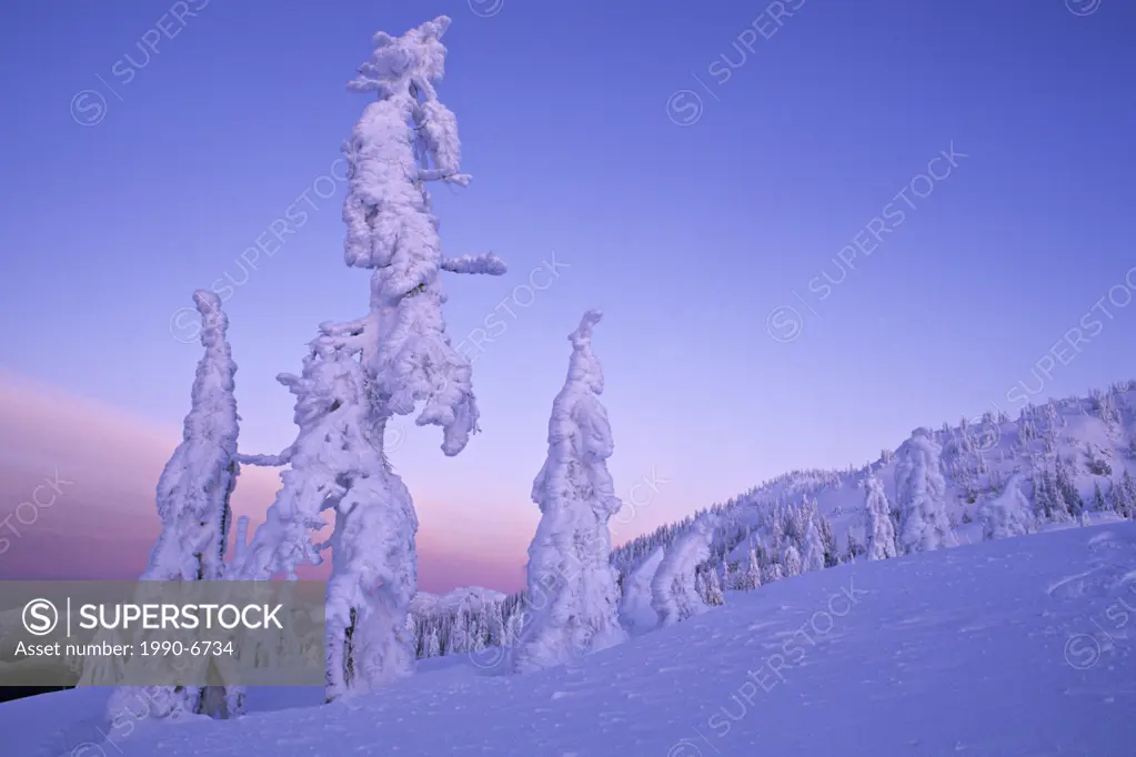 Ghost trees, Mount Seymour Provincial Park, British Columbia, Canada
