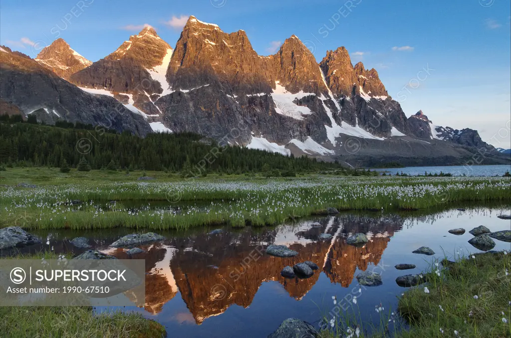 The Ramparts reflected in pond at sunrise, Tonquin Valley trail, Jasper National Park, Alberta, Canada