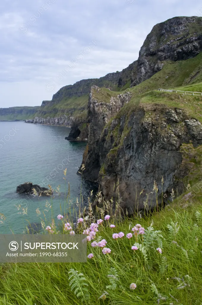 Carrickarede Isle, County Antrim, Northern Ireland