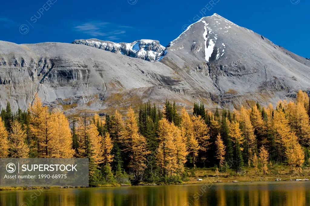 View From Citadel Pass Trail, British Columbia, Canada