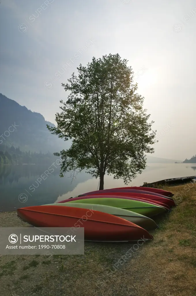 Canoes set against a tree Horne Lake, Vancouver Island, British Columbia, Canada