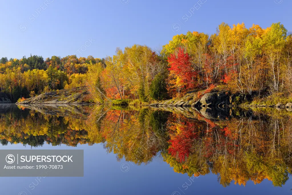 Autumn maples and birches reflected in Simon Lake, Greater Sudbury Naughton, Ontario, Canada