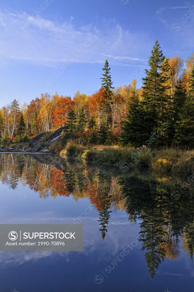 Autumn reflections in Junction Creek, Greater Sudbury Lively, Ontario, Canada