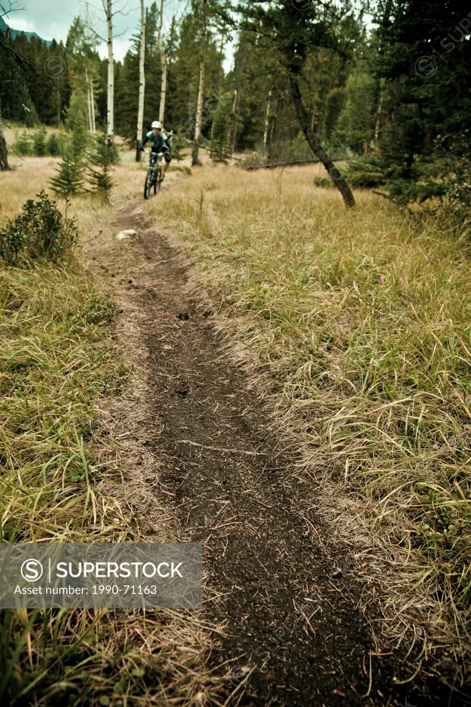 A female mountain biker riding singletrack in Canmore, AB