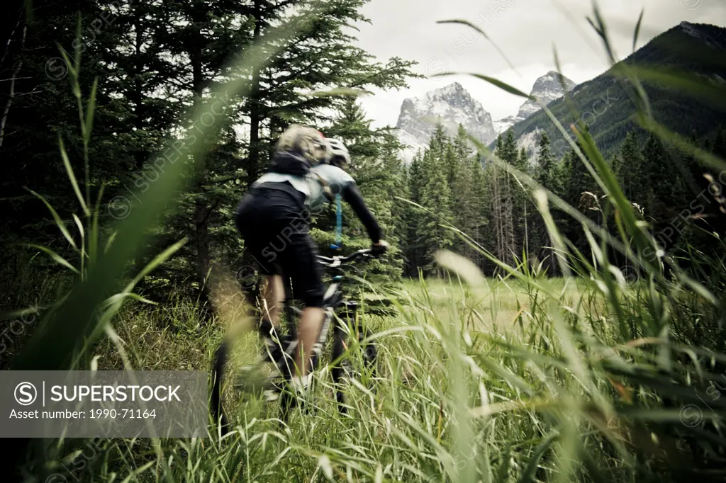 A female mountain biker riding singletrack in Canmore, AB