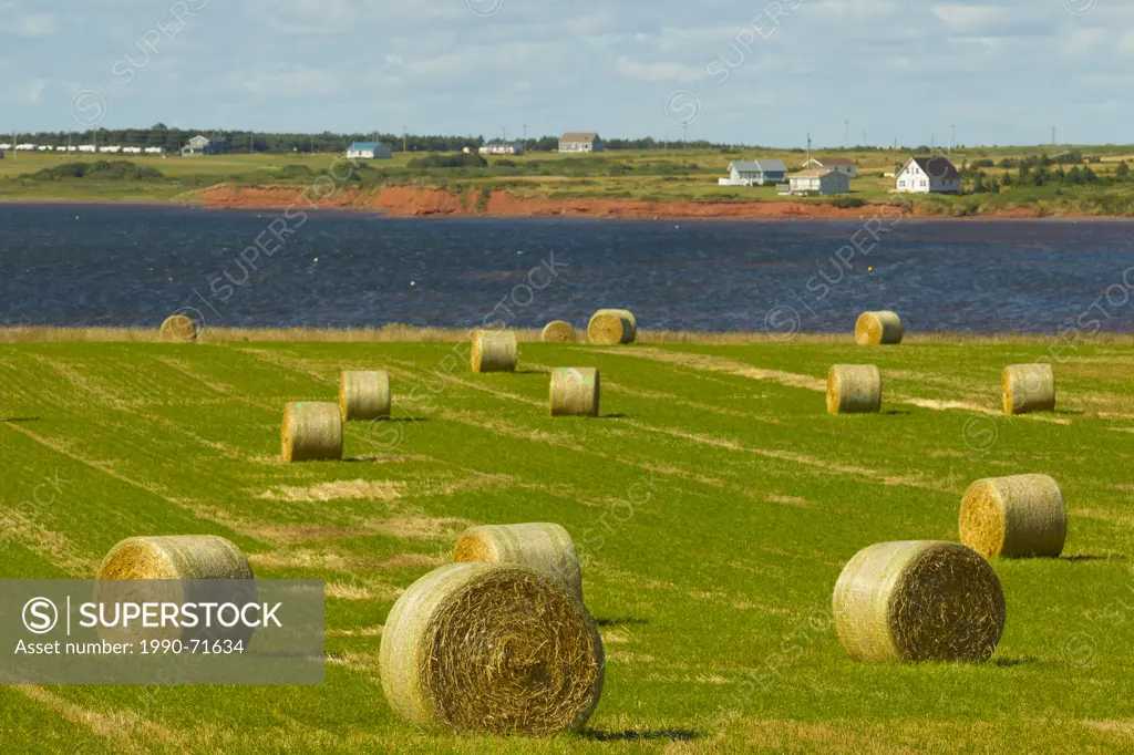 Baled hay, Darnley Basin, Prince Edward Island, Canada