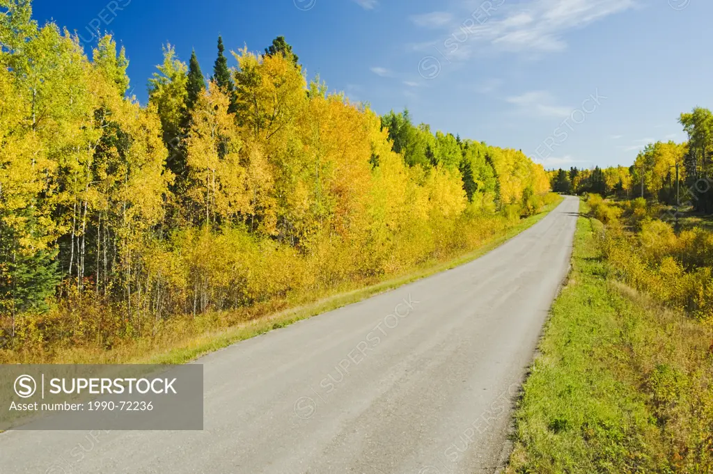 Autumn along a road going through Whiteshell Provincial Park, Manitoba, Canada