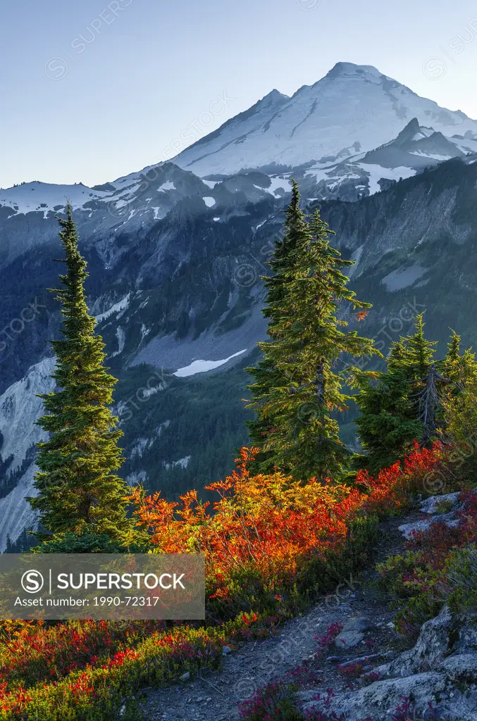 Mount Baker-Snoqualmie National Forest, Washington, United States of America