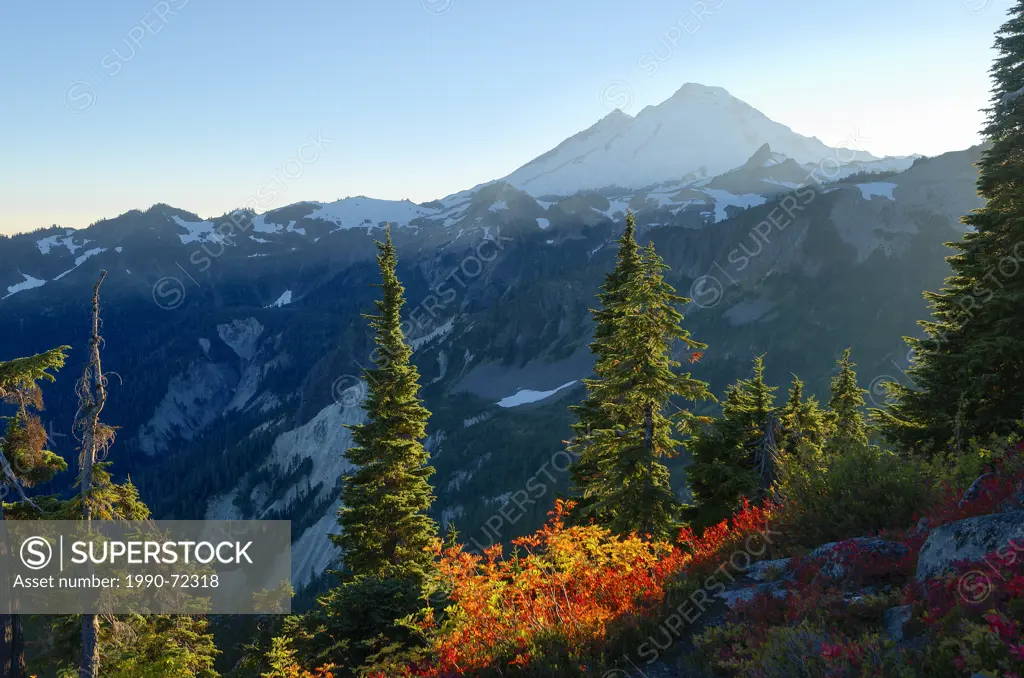 Mount Baker-Snoqualmie National Forest, Washington, United States of America
