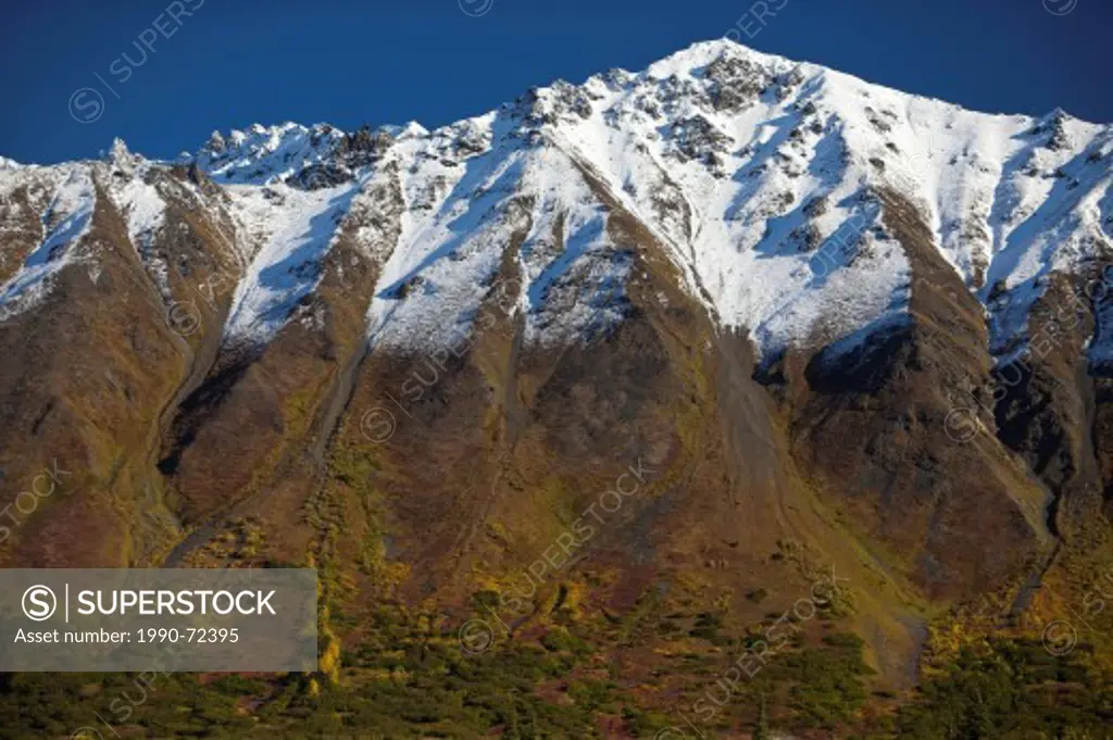 Snowy peaks and fall colors, Broad Pass area, George Parks Highway, Alaska, United States of America.