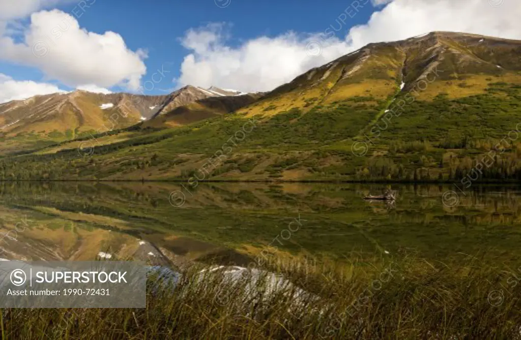 Lush mountain scene, Summit Lakes, Seward Highway, Alaska, United States of America.