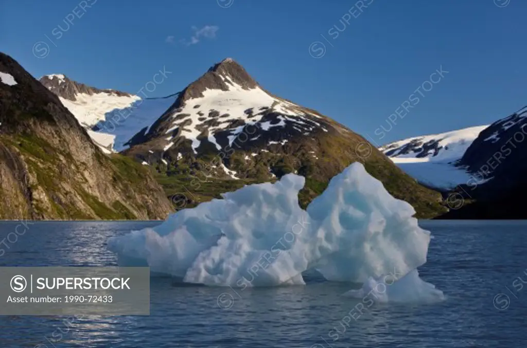 Icebergs, Baird Peak, Portage Lake, Alaska, United States of America.