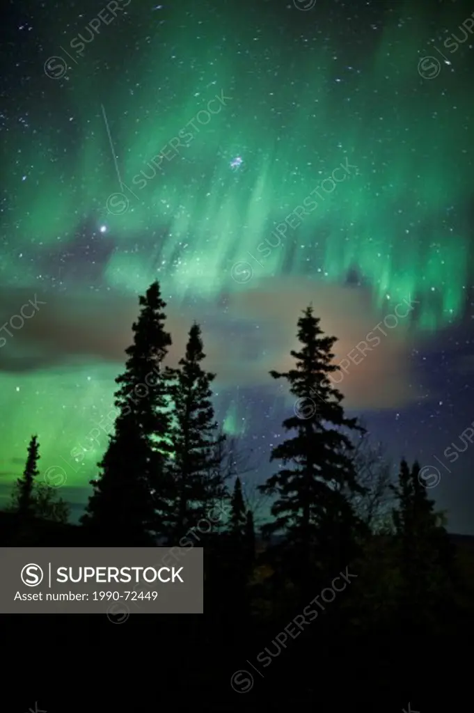 Aurora borealis, Midnight Dome, Dawson City area, Yukon, Canada.