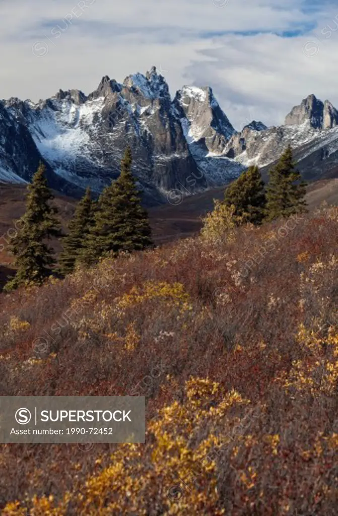 Mount Monolith from Grizzly Lake viewpoint in the fall, Tombstone Territorial Park, Yukon, Canada.