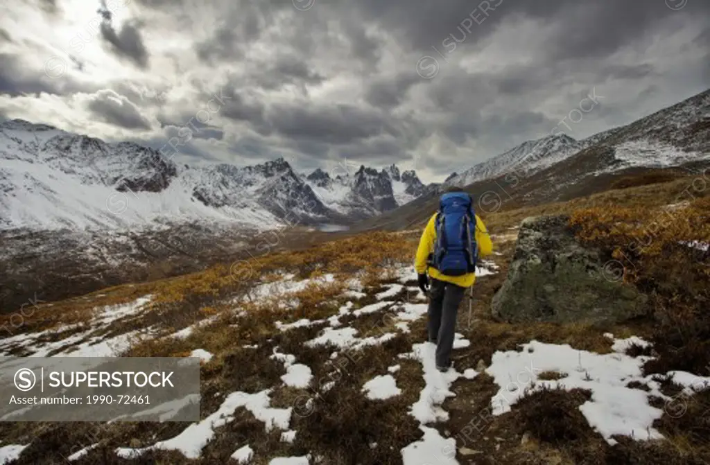 Male hiker on Grizzly Lake trail, Tombstone Territorial Park, Yukon, Canada.