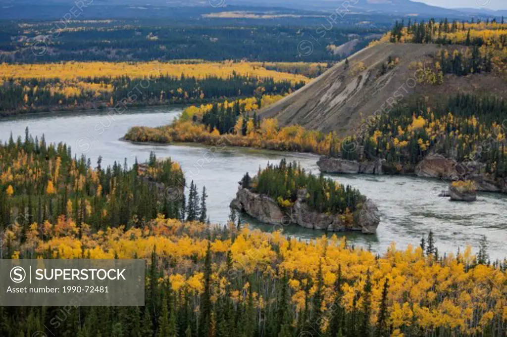 Fall colors, Five Fingers Rapids, Yukon River, Yukon, Canada.