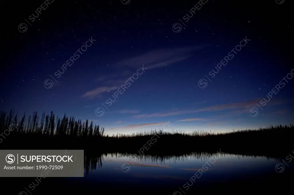 Tree silhouettes at dusk, Blue Lakes, Northern British Columbia, Canada.