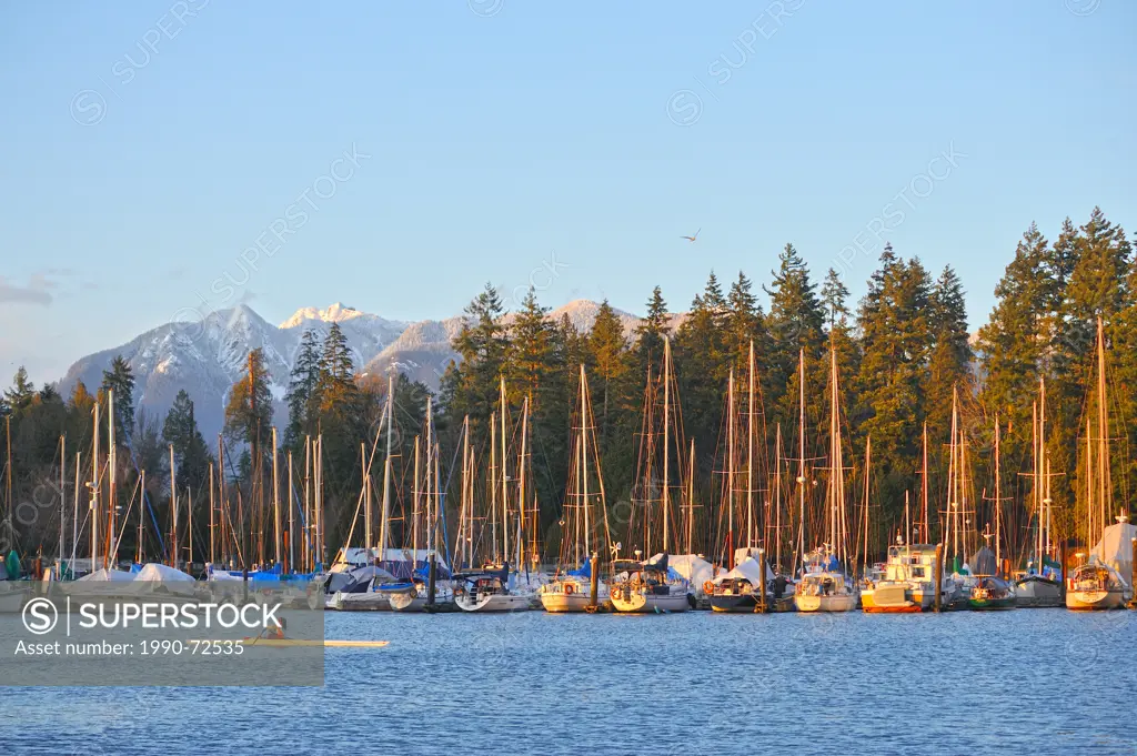 Vancouver Rowing Club Marina with Stanley Park and North Shore Mountains, Vancouver, British Columbia, Canada