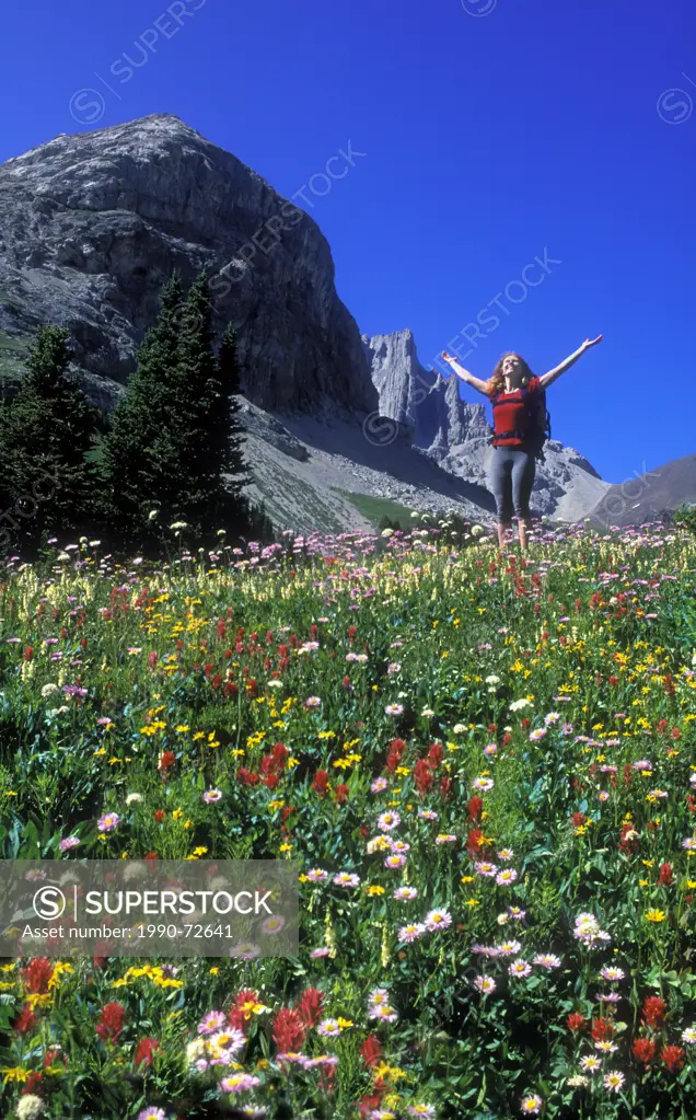 Woman in rich field of alpine flowers, Kananaskis Country, Alberta, Canada