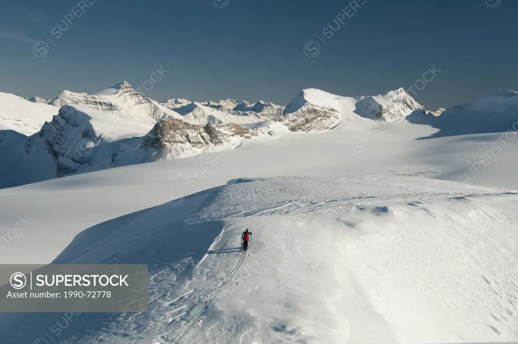 Skier on Mount Rhondda overlooking Wapta Icefield, Banff National Park, Alberta, Canada