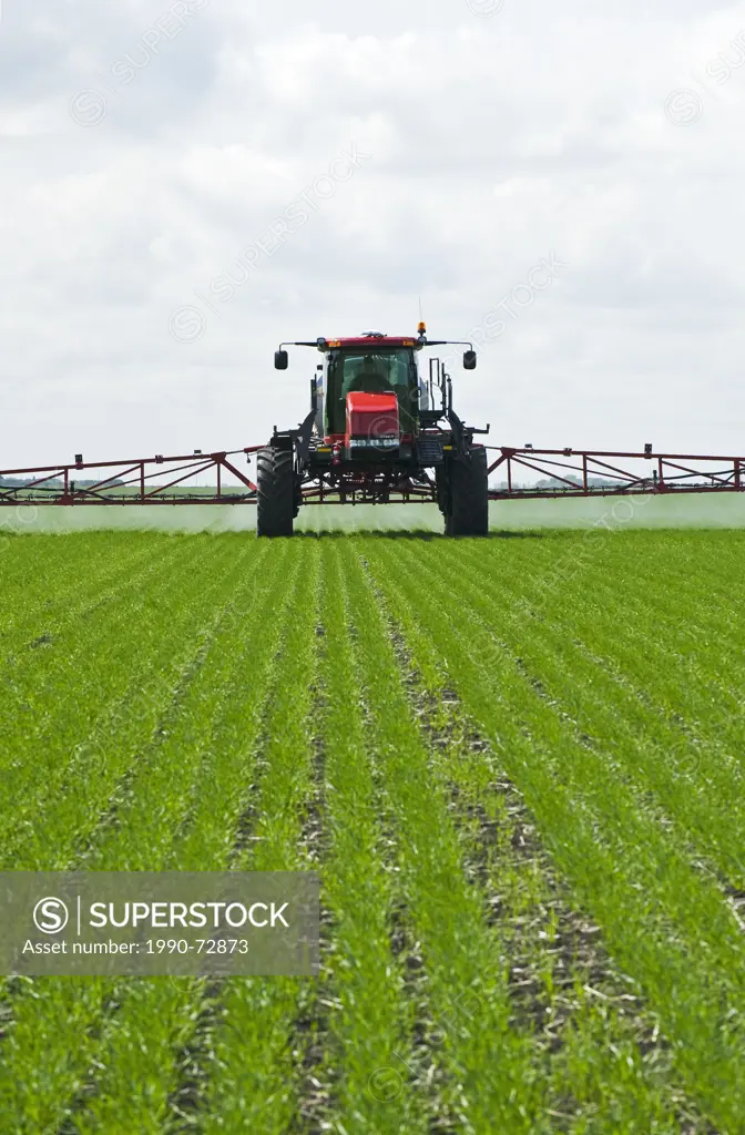 A high clearance sprayer applies herbicide to early growth wheat near Dugald, Manitoba, Canada